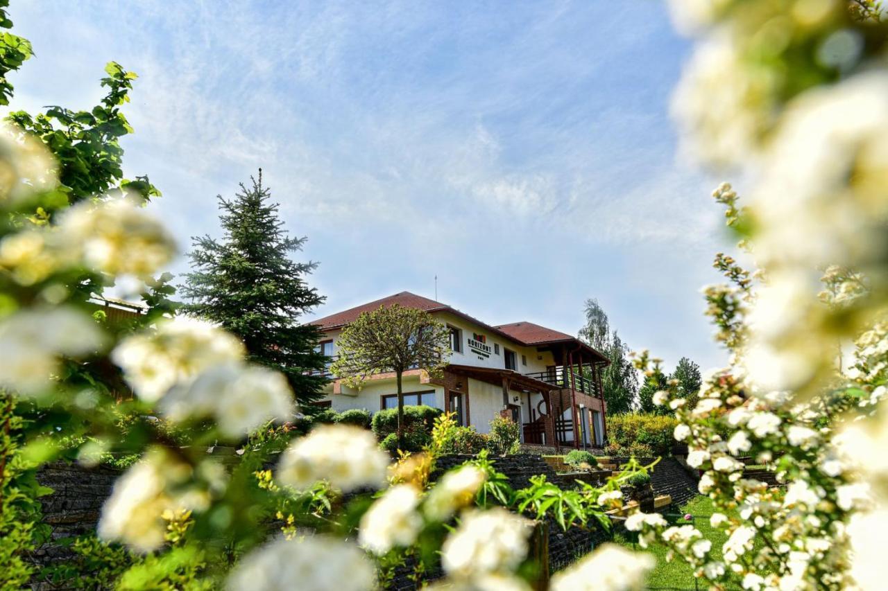 Horizont Panzio Bed & Breakfast Odorheiu Secuiesc Luaran gambar