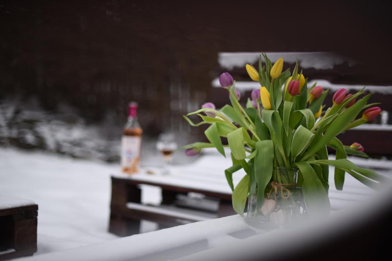 Horizont Panzio Bed & Breakfast Odorheiu Secuiesc Luaran gambar