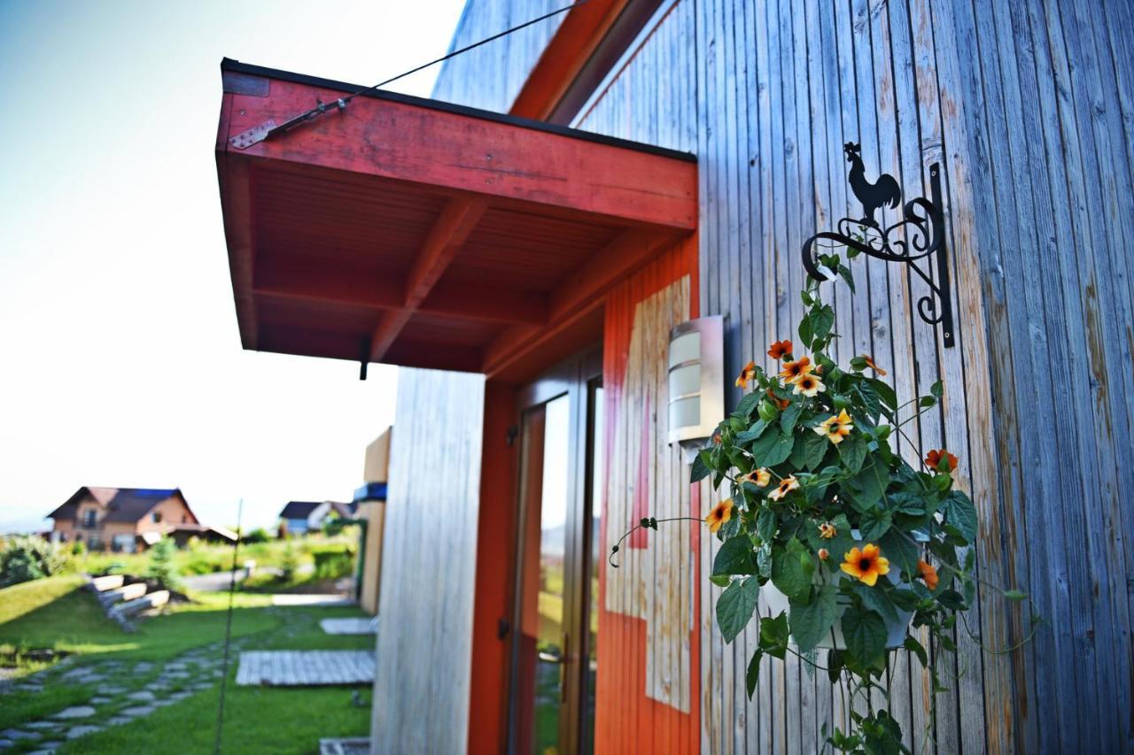 Horizont Panzio Bed & Breakfast Odorheiu Secuiesc Luaran gambar